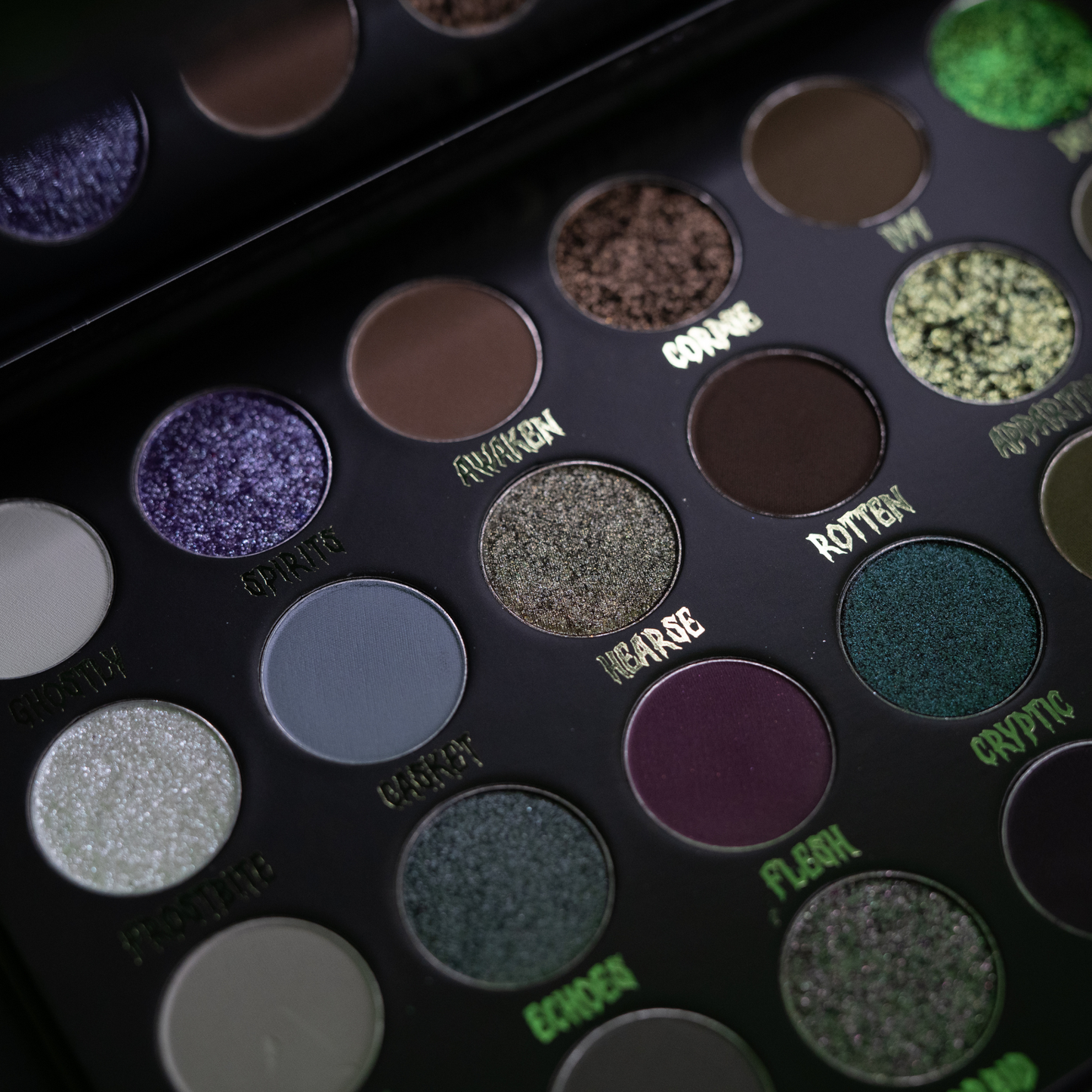 Cryptic Palette