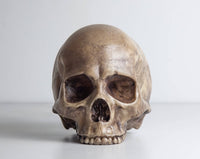 Thumbnail for Skull Lamp
