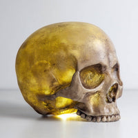 Thumbnail for Skull Lamp