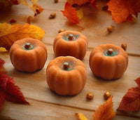 Thumbnail for Large Spiced Pumpkin Wax Melt